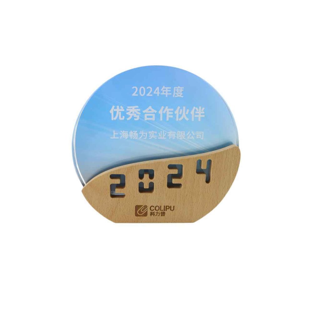汉盾安防科技有限公司作为子公司在2024年获得优秀合作伙伴